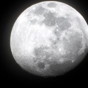 Meet your Posher, Cory